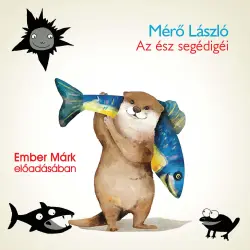 Cover - Mérő László - Az ész segédigéi