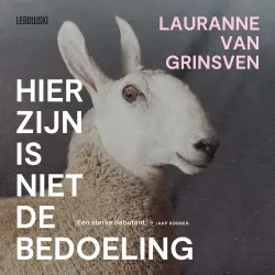 Cover - Lauranne van Grinsven - Hier zijn is niet de bedoeling
