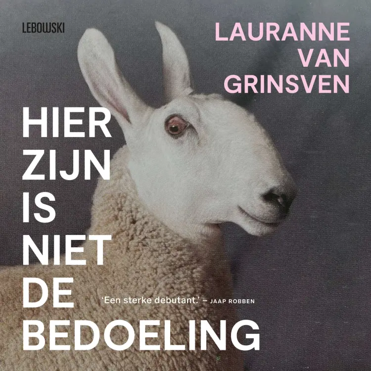 Cover von Lauranne van Grinsven - Hier zijn is niet de bedoeling