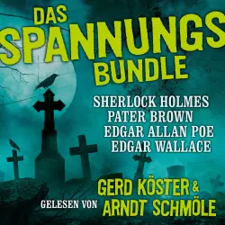 Cover - Edgar Allan Poe - Das Spannungs Bundle