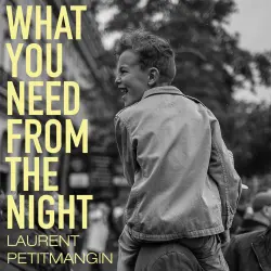 Cover - Laurent Petitmangin - What You Need From The Night