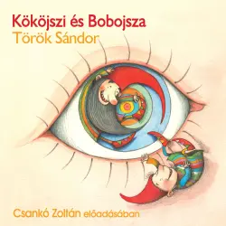 Cover - Török Sándor - Kököjszi és Bobojsza