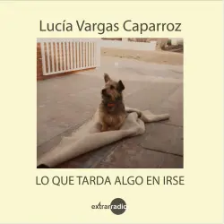 Cover - Lucía Vargas Caparroz - Lo que tarda algo en irse