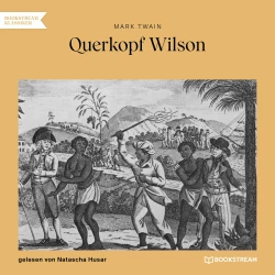Cover - Mark Twain - Querkopf Wilson