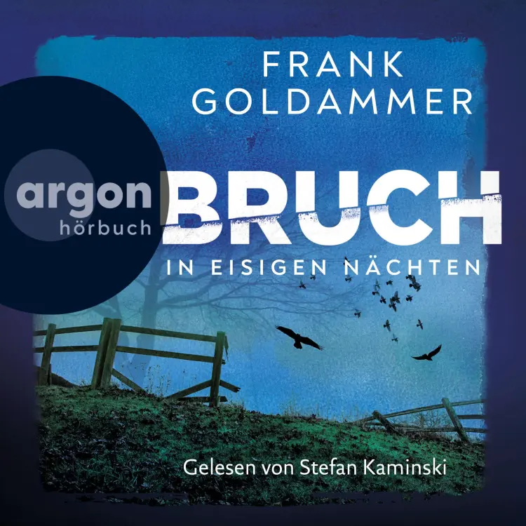 Cover von Frank Goldammer - Felix Bruch - Band 2 - Bruch - In eisigen Nächten