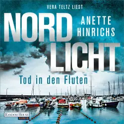 Cover - Anette Hinrichs - Boisen & Nyborg ermitteln - Band 5 - Nordlicht - Tod in den Fluten