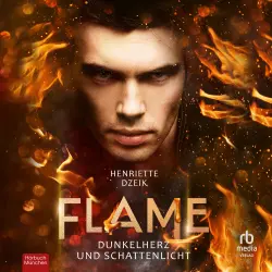 Cover - Henriette Dzeik - Flame - Band 2 - Dunkelherz und Schattenlicht