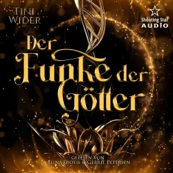 Cover - Tini Wider - Der Funke der Götter - Romantische - Urban Fantasy