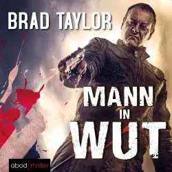 Cover - Brad Taylor - Mann in Wut - Action-Thriller