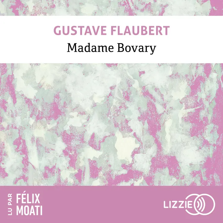 Cover von Gustave Flaubert - Madame Bovary