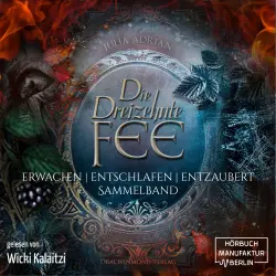 Cover - Die 13te Fee - Sammelband - Erwachen - Entschlafen - Entzaubert