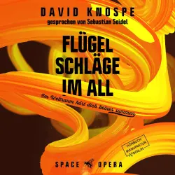 Cover - David Knospe - Flügelschläge im All - Im Weltall hört dich keiner summen