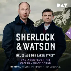 Cover - Sherlock & Watson - Neues aus der Baker Street - Band 13 - Das Abenteuer mit dem Blutdiamanten