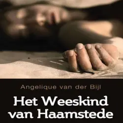 Cover - Angelique van der Bijl - Het weeskind van Haamstede