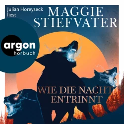 Cover - Maggie Stiefvater - Dreamer-Trilogie - Band 3 - Wie die Nacht entrinnt