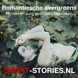 Cover - Publiek Domein - Romantische evergreens