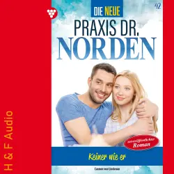 Cover - Carmen von Lindenau - Die neue Praxis Dr. Norden - Band 42 - Keiner wie er