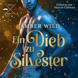 Cover - Amber Wild - Ein Dieb zu Silvester - Humorvolle Gay Romance zu Weihnachten