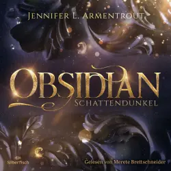 Cover - Jennifer L. Armentrout - Obsidian - Band 1 - Obsidian