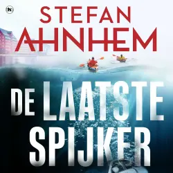 Cover - Stefan Ahnhem - Fabian Risk - Deel 6 - De laatste spijker