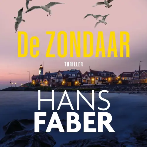 Cover - Hans Faber - Van Zandt - Deel 3 - De zondaar