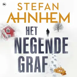 Cover - Stefan Ahnhem - Fabian Risk - Deel 2 - Het negende graf