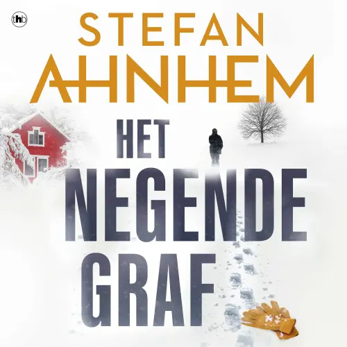 Cover von Stefan Ahnhem - Fabian Risk - Deel 2 - Het negende graf
