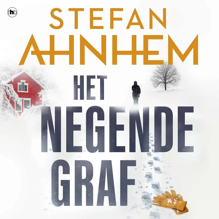 Cover von Stefan Ahnhem - Fabian Risk - Deel 2 - Het negende graf