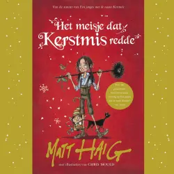 Cover - Matt Haig - Het meisje dat Kerstmis redde