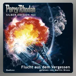 Cover - Arndt Ellmer - Perry Rhodan - Silber Edition 163 - Flucht aus dem Vergessen