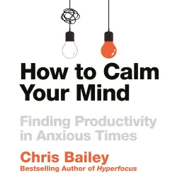 Cover - Chris Bailey - How to Calm Your Mind - Finding Productivity in Anxious Times
