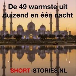 Cover - Diverse Auteurs - De 49 warmste uit duizend en één nacht