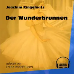 Cover - Joachim Ringelnatz - Der Wunderbrunnen