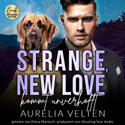 Cover - Aurelia Velten - Boston In Love - Band 5 - Strange, New Love kommt unverhofft