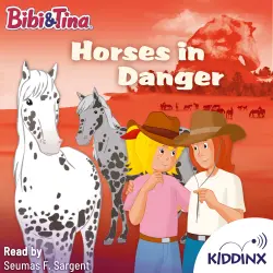 Cover - Stephan Gürtler - Bibi and Tina - Horses in Danger