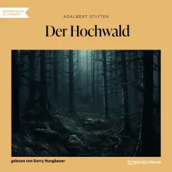 Cover - Adalbert Stifter - Der Hochwald