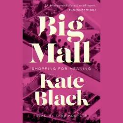 Cover - Kate Black - Big Mall - Shopping for Meaning