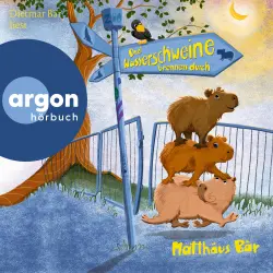 Cover - Matthäus Bär - Drei Wasserschweine brennen durch