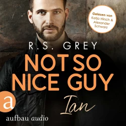 Cover - R.S. Grey - Handsome Heroes - Band 3 - Not so nice Guy - Ian