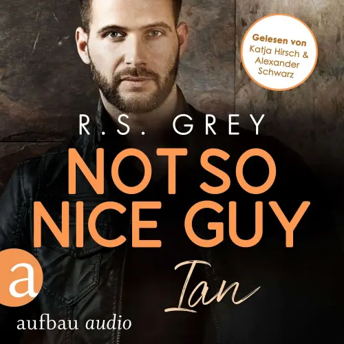 Cover - R.S. Grey - Handsome Heroes - Band 3 - Not so nice Guy - Ian