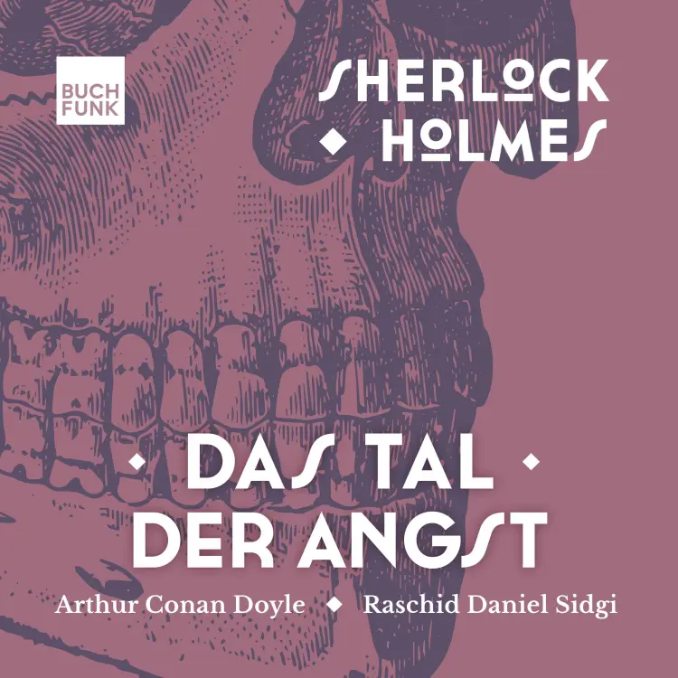 Cover von Arthur Conan Doyle - Sherlock Holmes - Die Romane - Band 4 - Das Tal der Angst