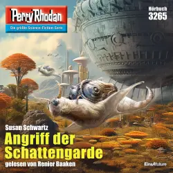 Cover - Susan Schwartz - Perry Rhodan - Erstauflage 3265 - Angriff der Schattengarde