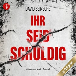 Cover - David Seinsche - Ihr seid schuldig