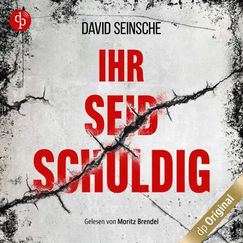 Cover - David Seinsche - Ihr seid schuldig