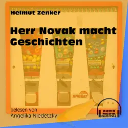 Cover - Helmut Zenker - Herr Novak macht Geschichten