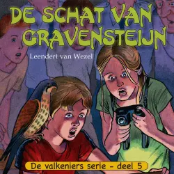 Cover - Leendert van Wezel - De Valkeniers serie - Deel 5 - De schat van Gravensteijn
