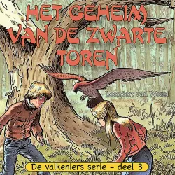 Cover - Leendert van Wezel - De Valkeniers serie - Deel 3 - Het geheim van de zwarte toren