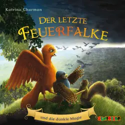 Cover - Katrina Charman - Der letzte Feuerfalke - Folge 6 - Der letzte Feuerfalke und die dunkle Magie