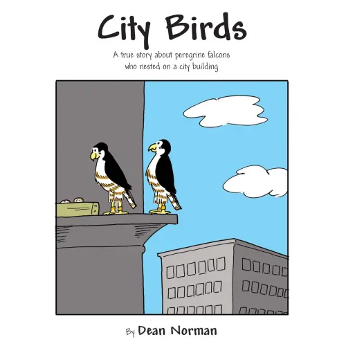 Cover - Dean Norman - City Birds