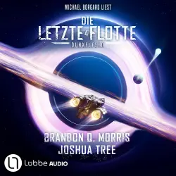 Cover - Brandon Q. Morris - Die Letzte Flotte - Teil 4 - Dunkelfeld